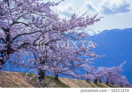 Takato Castle 58251859