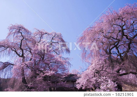 Takato Castle 58251901
