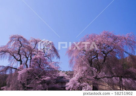 Takato Castle 58251902