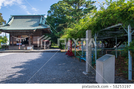 kai市神社禮拜堂和紫藤格子 kai市神社禮拜堂和紫藤格子 58253197