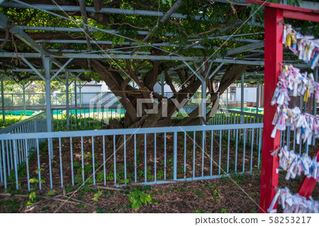 gi神社(富士架) gi神社(富士架) 58253217