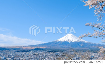 Scenery of Niikurayama Asama Park (Spring): Mt. Fuji 58253259