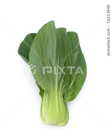 白菜 白菜 58253646