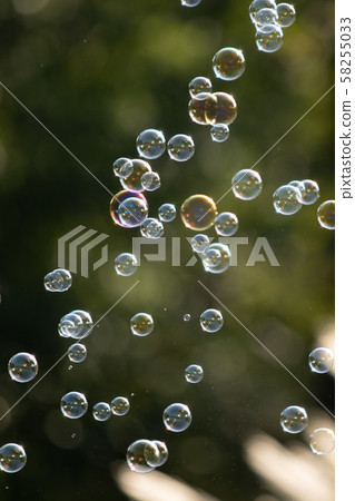 Soap bubble 58255033