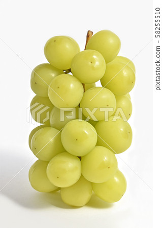 葡萄(Shine Muscat) 葡萄(Shine Muscat) 58255510