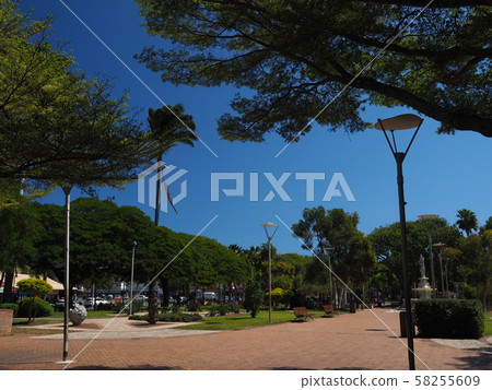 New Caledonia Cocotier Square 58255609