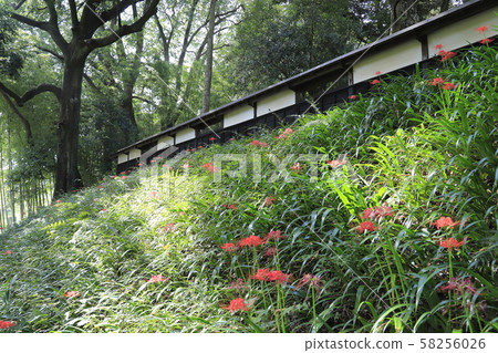 Mizukaido Museum of Culture 58256026