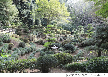 Mizukaido Museum of Culture (Sakanoie Residence) Garden Mizukaido Museum of Culture (Sakanoie Residence) Garden 58256164
