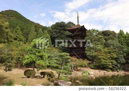 初秋的恩光寺 58256322