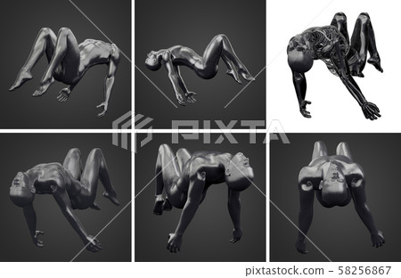 3d rendering illustration of skeleton bone anatomy 3d rendering illustration of skeleton bone anatomy 58256867
