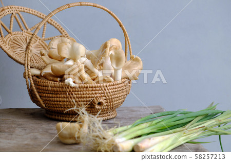 abalone mushroom, citronella plant, Vietnamese vegan food ingredient abalone mushroom, citronella plant, Vietnamese vegan food ingredient 58257213