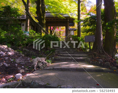 Arima Onsen / Zuihoji Park Autumn Leaves, Sanmon Arima Onsen / Zuihoji Park Autumn Leaves, Sanmon 58258493