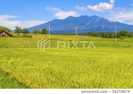 [Yamanashi Prefecture] Yatsugatake and autumn rural scenery 58259074