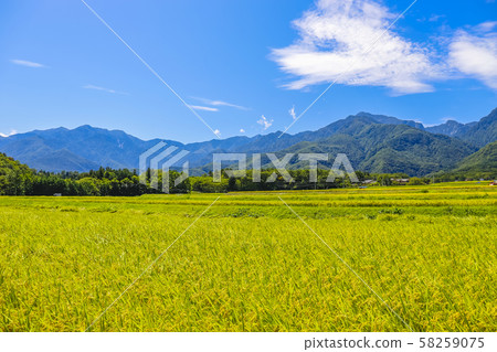 [Yamanashi Prefecture] Mount Komagatake and autumn rural scenery 58259075