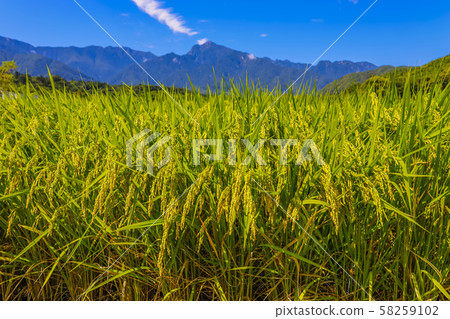 [Yamanashi Prefecture] Autumn rural scenery in the Southern Alps and Hokuto City 58259102