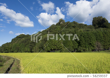 Oita Oita 58259337