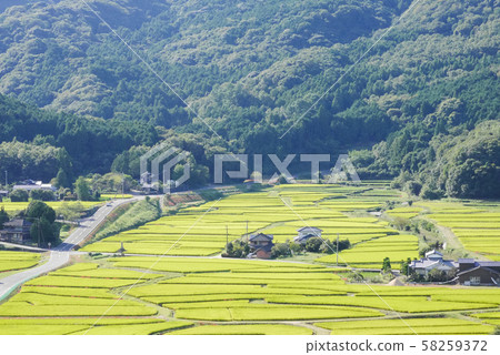 Oita 58259372