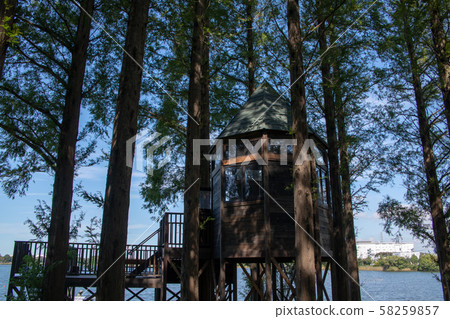 Kukien Park Tree House Aqua Leisure Park Kuki City, Saitama Prefecture 58259857