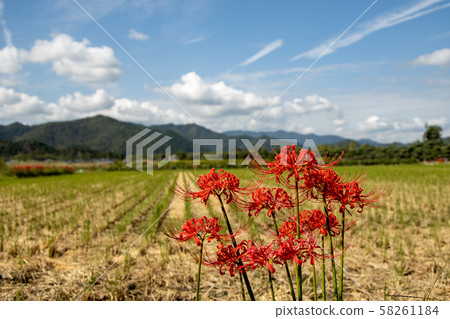 Countryside scenery of Kameoka 58261184