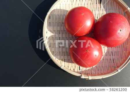 Tomato Tomato 58261200