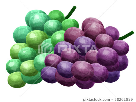 Grapes, grapes, fruits, fruits 58261859