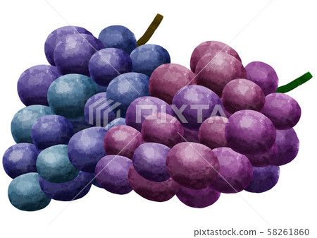 Grapes, grapes, fruits, fruits Grapes, grapes, fruits, fruits 58261860