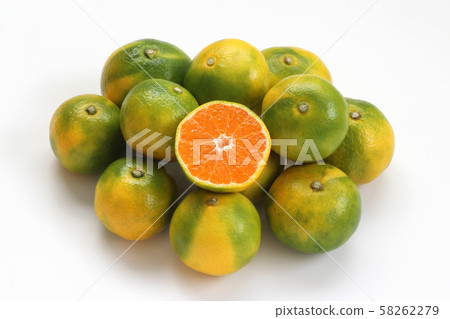 Very early birth mandarin orange 58262279