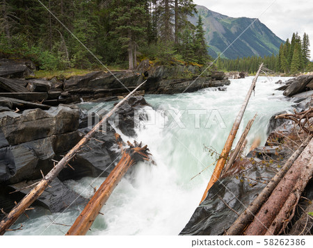 Kootenay National Park, British Columbia, Canada Kootenay National Park, British Columbia, Canada 58262386