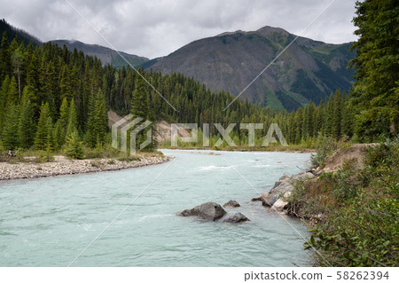 Kootenay National Park, British Columbia, Canada 58262394