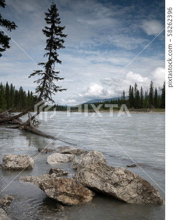 Kootenay National Park, British Columbia, Canada 58262396