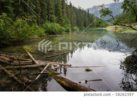 Kootenay National Park, British Columbia, Canada 58262397