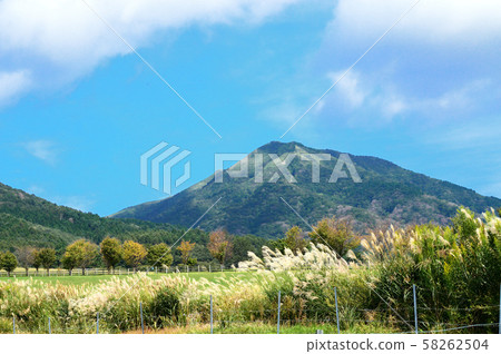 蔚山高原在初秋 58262504