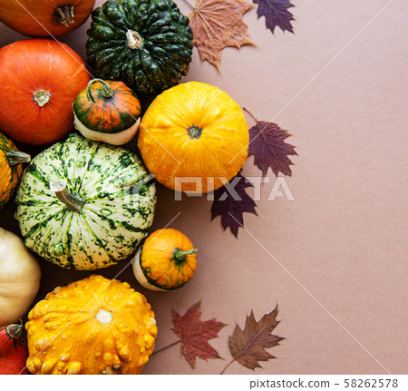 Pumpkins on a light brown background Pumpkins on a light brown background 58262578