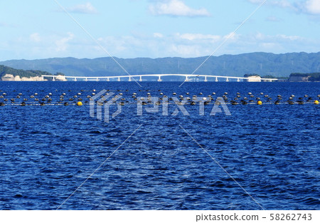 Seascape Nanao Bay Seascape Nanao Bay 58262743