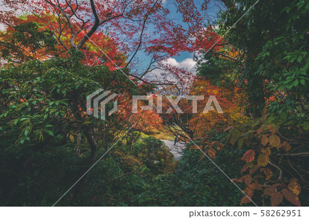 Autumn leaves and autumn scenery of Kyoto Okochi Sanso Autumn leaves and autumn scenery of Kyoto Okochi Sanso 58262951