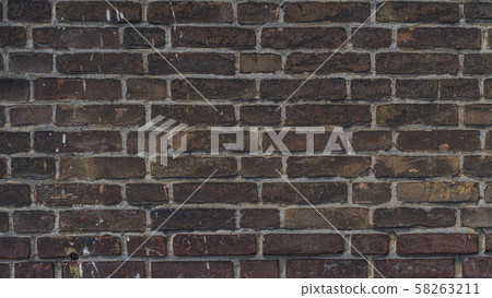 Bricks and brickwork paths and walls 58263211