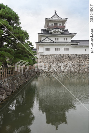 Toyama castle 58264067