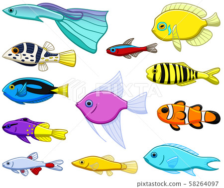 Set of twelve different colored tropical fishes 58264097