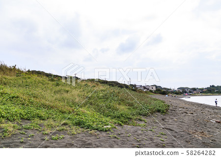 Mitohama (autumn) 58264282