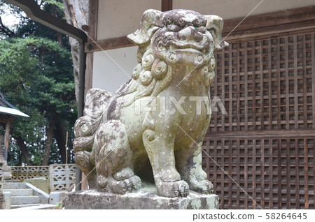 Sakai-inu (Tsubakigata) (Shiki Goken Za Shrine (Remains of Shiki Mizuki Shrine) / Kanaya Sakurai City, Nara Prefecture) Sakai-inu (Tsubakigata) (Shiki Goken Za Shrine (Remains of Shiki Mizuki Shrine) / Kanaya Sakurai City, Nara Prefecture) 58264645