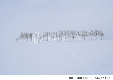 拼湊路徑 58265142