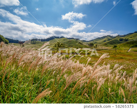 Autumn Toho plateau Autumn Toho plateau 58265373