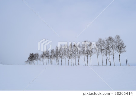 拼湊路徑 58265414