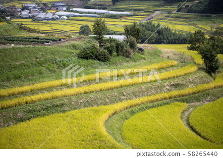 Landscape of Asuka village Landscape of Asuka village 58265440