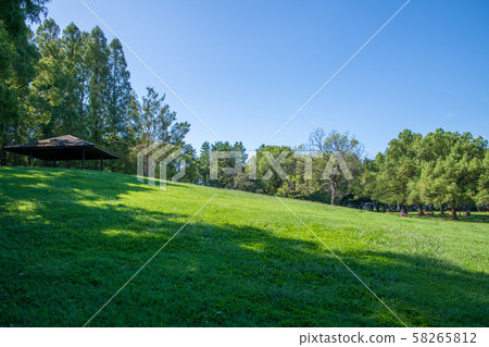 Sa玉縣K氣市九泉公園草坪廣場水上休閒公園 Sa玉縣K氣市九泉公園草坪廣場水上休閒公園 58265812