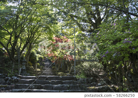 福岡 福岡 58266250