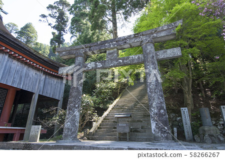 福岡 58266267