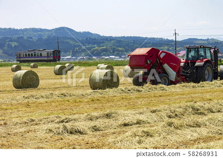 乾草卷_秸稈卷 58268931