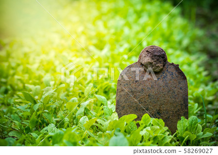 Hoe stuck in the ground of vegetable garden and morning sunlight at organic farm. Concept of agriculture. Closeup and copy space for text. Hoe stuck in the ground of vegetable garden and morning sunlight at organic farm. Concept of agriculture. Closeup and copy space for text. 58269027