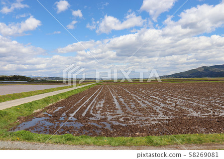 稻田的形象 58269081